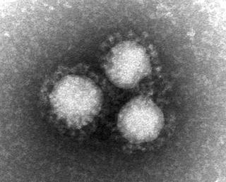 新型コロナウイルス（COVID-19）防御法