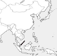 シンガポール共和国