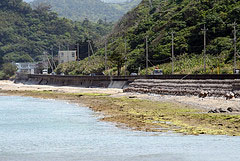 喜如嘉板敷海岸の板干瀬